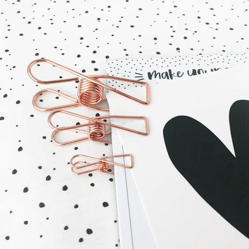 Knijper fish clip koper medium